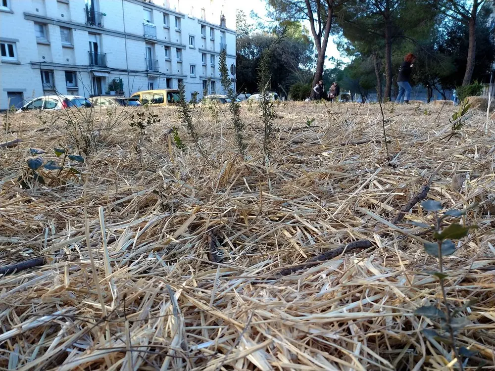 On admire la différence