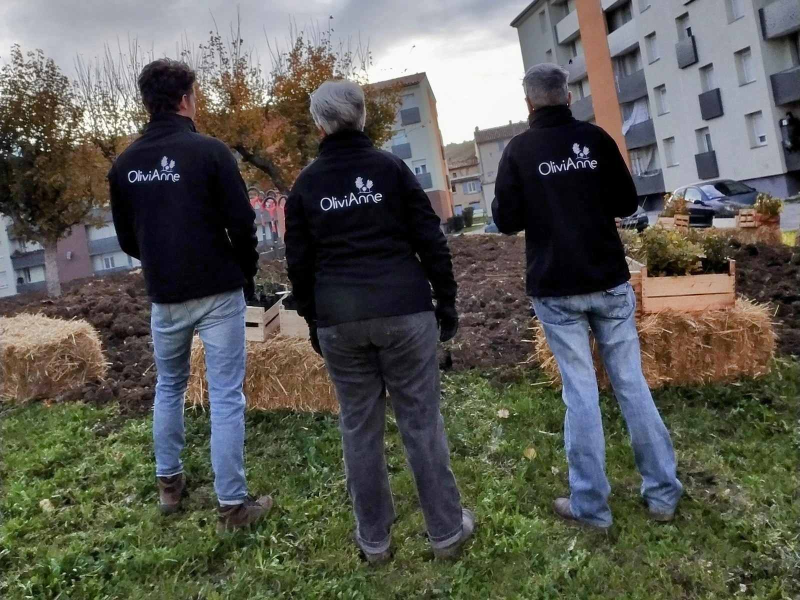 L'équipe d'OliviAnne sur une plantation